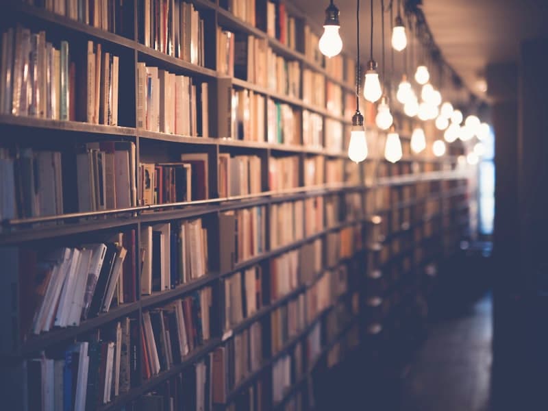 DSpace: Publicación Institucional